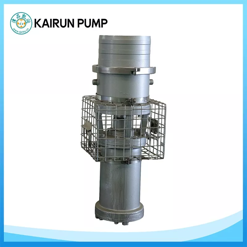 Permanenteng Magnet Submersible Axial Flow Pump
